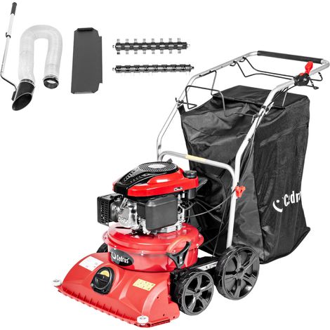 Aspirateur de jardin à essence LV58S CEDRUS POUR FEUILLES, bac 4 en 1 de 150 L et 58 cm de diamètre (1/5)