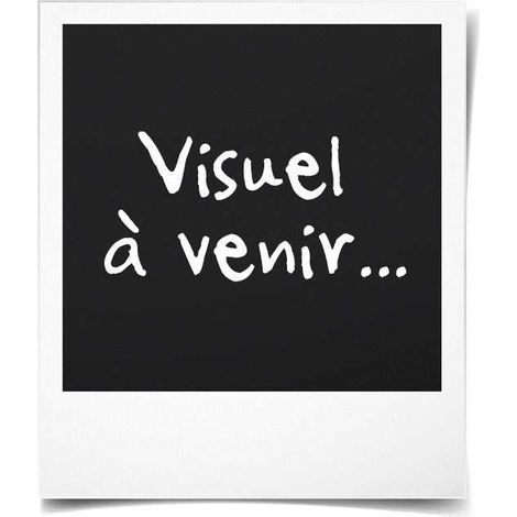 MICHELIN Enjoliveur 14 NVS 3D par 4 en boîte Noir