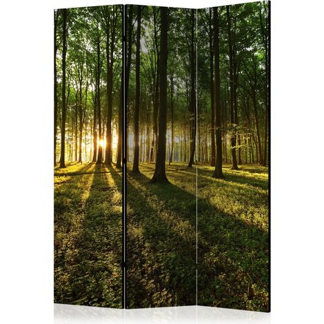 Paravento - Morning in the Forest [Room Dividers] - 135x172 (1/4)