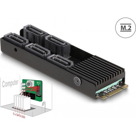 Delock Convertidor M.2 2280 clave B+M macho a 5 x SATA para servidor con disipador