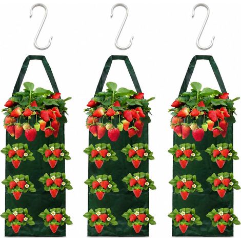 3 Sacs De Culture Fraises Suspendus Plantation Verticale Balcon 25 X 70 Cm  Le Lot Contient 3 Crochets Inox 304 Tissu Respirant Drainage Efficace Petits Espaces Herbes Légumes Fleurs Jardiniers (1/5)
