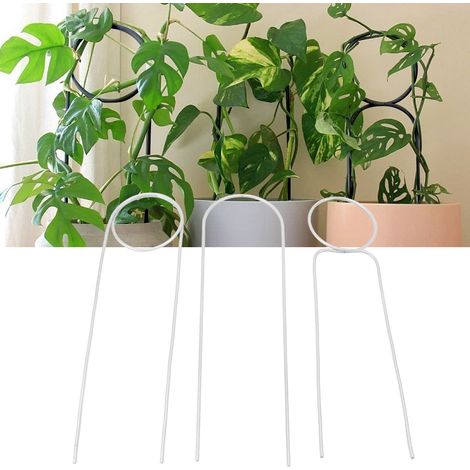 Support pour plantes grimpantes en fer forgé de 40 cm, pour plantes vertes d'intérieur en pot et compositions florales, tige de fixation en métal, blanc (1/5)