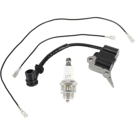 Moduli bobina di accensione e ricambi per candele per motoseghe Zenoah/Timberpro/Lawnflite