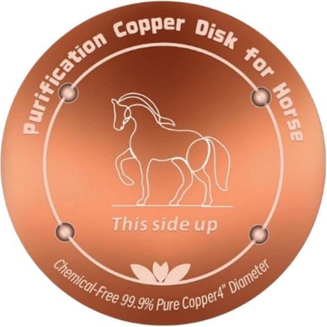 Disque en cuivre résistant à l'eau et intempéries support 3 points 10x10x03 cm pour bain oiseaux chevaux fermes & ranchs utilisable toutes saisons (1/5)