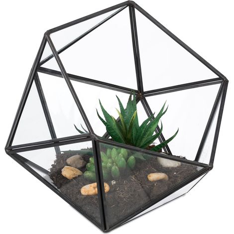 Terrario geométrico de vidrio para cactus y suculentas (1/5)