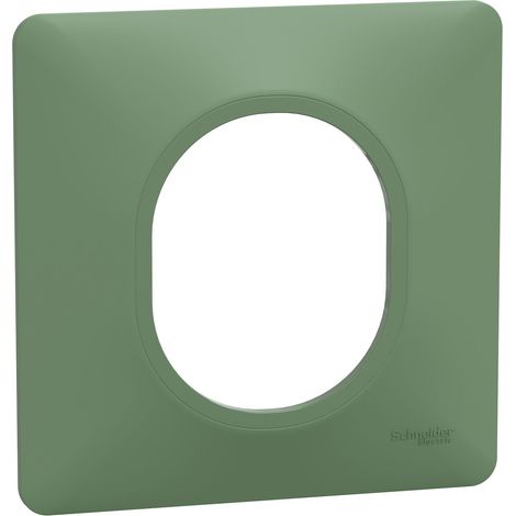OVALIS PLAQUE DE FINITION 1 POSTE VERT FORÊT SCHNEIDER S320702B (1/5)