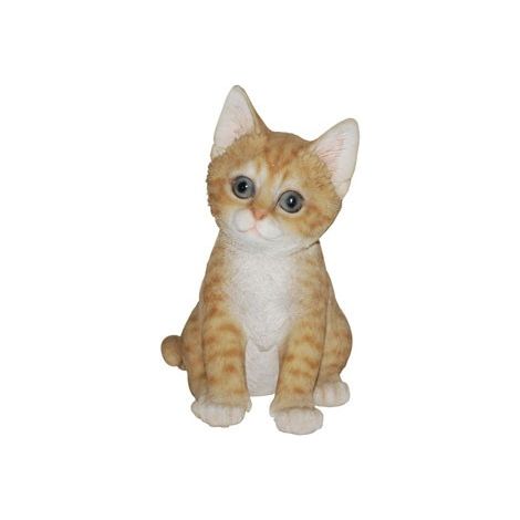 Chaton assis roux 20 cm (1/3)