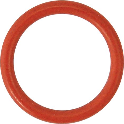 GUARNIZIONE O-RING PER PERNO per N 3 - mm 18,72 x  2,62  - REBER