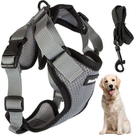 Filiyano-Harnais pour chien anti-traction XL gris avec réflecteurs et laisse amovible de 150 cm (1/5)