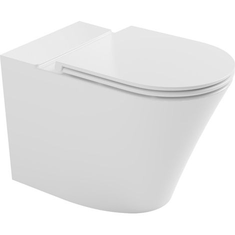 Cuvette suspendue FEIN pour WC combiné, Rimless, 61x36cm, Siphon en S/Siphon en P, blanc (1/2)