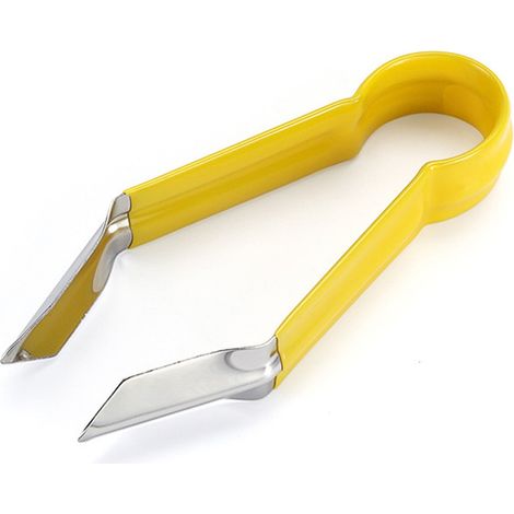 Corer Ananas - Corer Fraises - En Acier Inoxydable - Pour Préparation Cuisine - 1 Pièce (1/3)