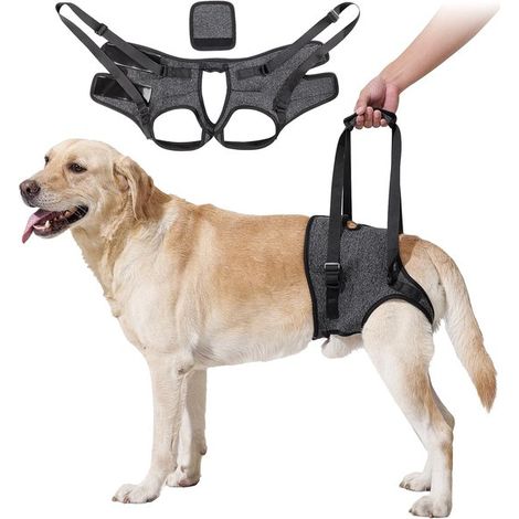 Mochila para perros,para perros grandes Arnés para sujetar las patas traseras,Ideal para perros mayores con artritis (1/5)