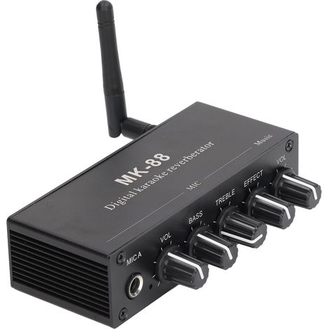 Amplificateur stéréo à réverbération numérique, Bluetooth 5.0, double entrée microphone, alimentation CC 12 V (1/5)