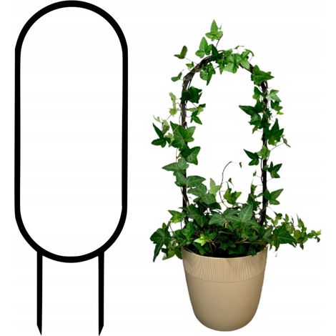 Soporte para plantas trepadoras. Soporte para flores trepadoras. Escalera para pérgola M 31 cm (1/5)