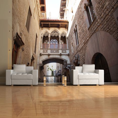 Fotomurale - Barcelona Palau generalitat in gothic Barrio - 250x193 (1/4)