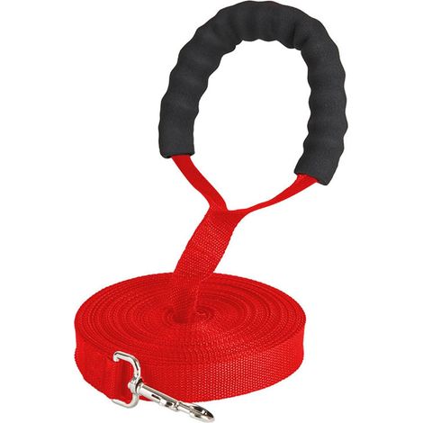 1 Longe Chien, Nylon Résistant, Poignée Rembourrée, Mousqueton Renforcé, Dressage et Rappel