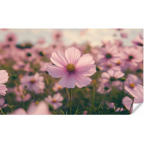 Carta da Parati Fiori - Viola - Sfumato 500x300 cm (1/5)