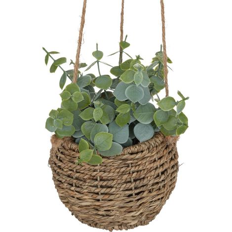 Zoe-Pflanze zum Aufhängen H17cm -