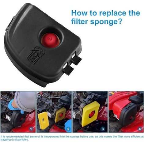 Couvercle Filtre Air 595660 + Filtre Mousse 799579 + Pompe 594281, Pour Briggs & Stratton (1/4)