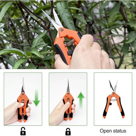 Gardening Scissors, Bonsai Scissors, Secateurs and Gardening Scissors, Garden Scissors with Handle, Hand Pruners for Picking Fruits, Vegetables, Trees and Flowers (1/2)