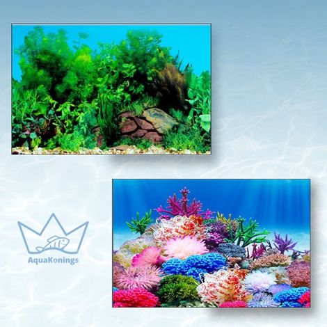 Affiche Aquarium – Imperméable – Affiche décorative Poissons – Décoration Murale Aquarium – 200 x 50 cm – R (1/5)