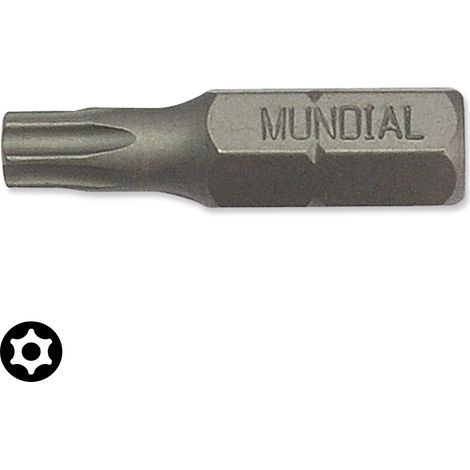 INSERTO TORX CON FORO mm.25 TX 7