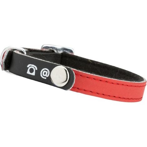 Collare in nylon rosso riflettente con porta indirizzo per gatti (1/3)