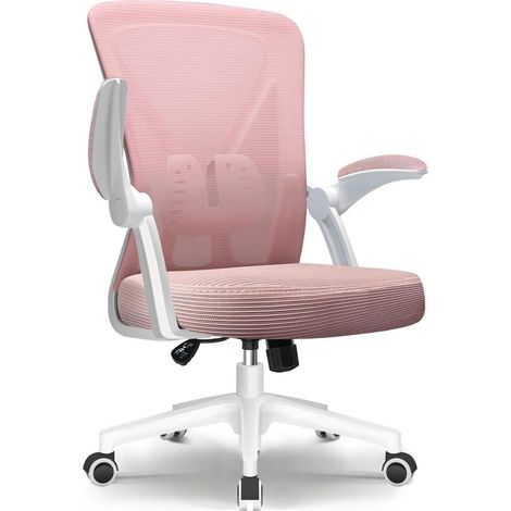 Ergonomischer Bürostuhl Schwarz, Höhenverstellbar, Lendenwirbelstütze, klappbare (1/5)
