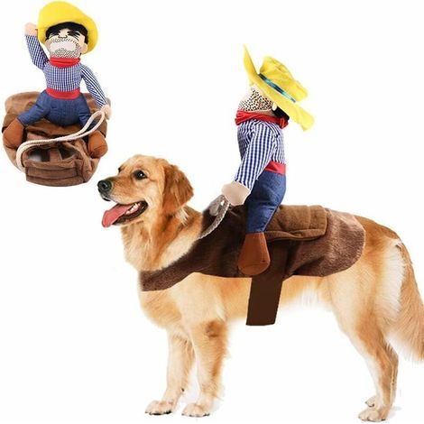 Costume pour animaux de compagnie drôle Cowboy chien Costume fantaisie Pet Cosplay vêtements adapté pour chien moyen grand chat (1/5)