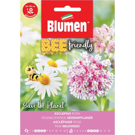 SEMI ASCLEPIAS ROSA BLUMEN