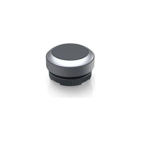 RAFI 1.30.270.021/0700 RAFIX 22 FS Bouton-poussoir à rappel (L x l x H) 29.8 x 29.8 x 18.5 mm 1 pc(s