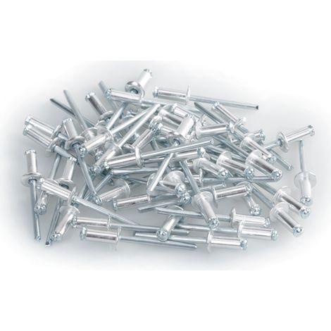 Aluminium Rivets, set 50 rivetti Graf per portatarga - Argento (1/5)
