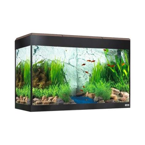 Fluval Rome LED Bluetooth 125L, noce