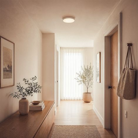 Plafón LED Techo 17W CCT Seleccionable Ø300 mm Sfere Con Modo Noche Seleccionable (Cálido-Neutro-Frío) (1/4)