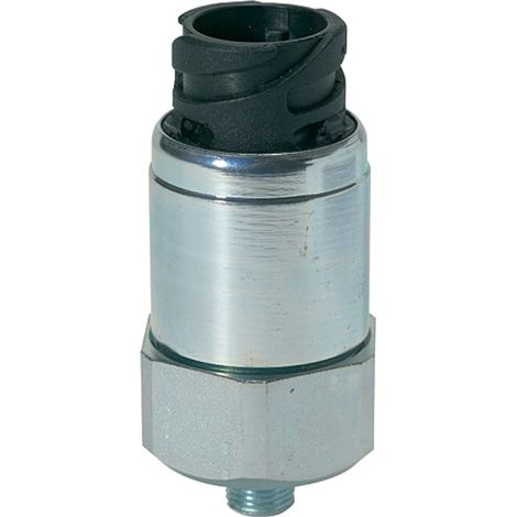 Riegler Druckschalter, Bajonettanschluss, Stahl verz., G 1/8, 10-70 bar (1/3)
