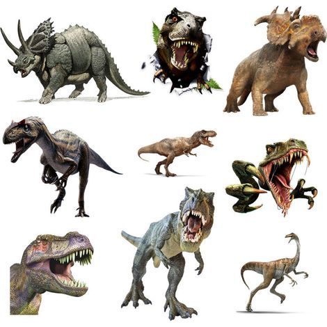 Peel and stick dinosaur wall stickers