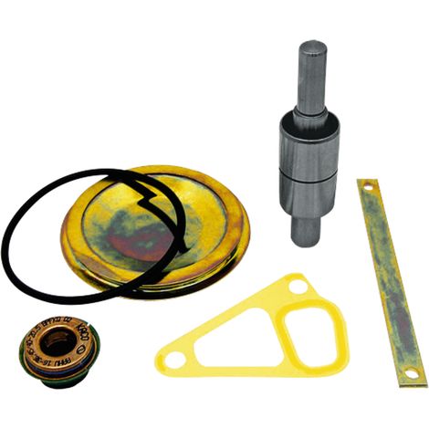 Kit di riparazione per pompa dell'acqua STEYR 131100060701