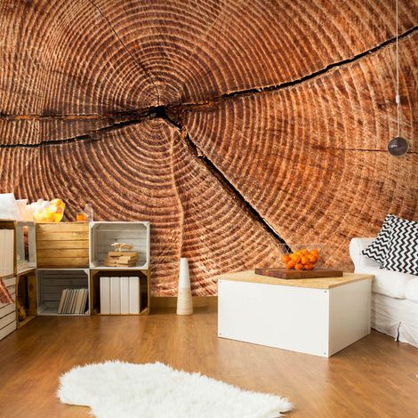 Papier peint coupe d'un tronc d'arbre - 250 x 193 cm (1/4)