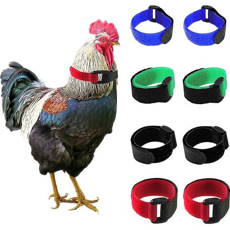 Collier anti-chant du coq, texture souple, réglable, anti-accrochage, accessoires pour volailles