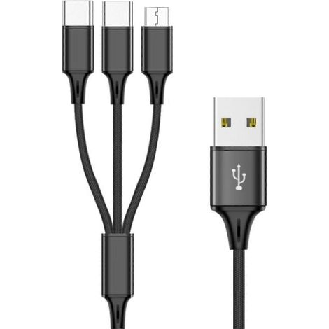 Câble multifonction USB vers Type-C + Micro USB 3 en 1, idéal pour les déplacements - 200 cm (1/5)