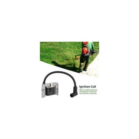 Bobine dallumage de moteur de tondeuse à gazon, compatible Tecumseh 34443, 34443A, 34443B, 34443C, 34443D, module solid state Crezuo (1/4)