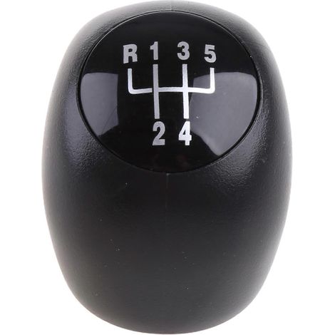 Pommeau de levier de vitesses manuel à 5 rapports pour Renault Clio Kangoo 2006 2007 2008 (1/5)