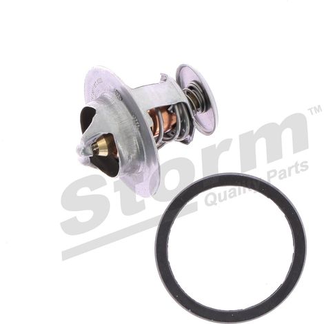Thermostat d'eau compatible Citroën, Daihatsu, Fiat, Ford (1/5)