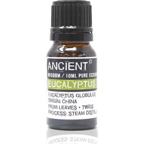 Eucalyptus - Huile essentielle 10 ml (1/2)