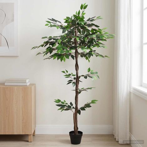 vidaXL Pianta Ficus Artificiale Verde 85 x 18 x 160 cm Tessuto e Legno (1/5)
