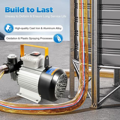 Dieselpumpe 220V 550W Elektrische Ölpumpe Dieselförderung Ölabsaugpumpe 60L min 2800U/min Dieselschlauch und Filter Umfüllpumpe