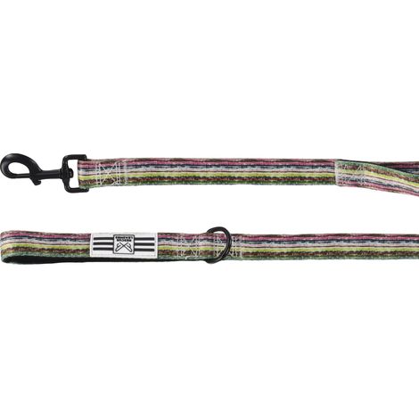 Chien Laisse Vert 1,8m 25mm