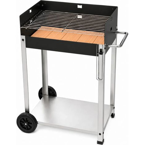 Barbecue a Carbone da Giardino Mattone Refrattario Griglia Regolabile (1/4)
