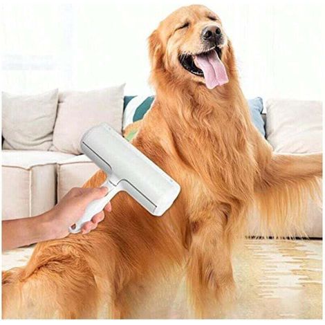 Brosse d'épilation réutilisable pour animaux de compagnie, élimine les poils de chien/chat des vêtements/canapé/voiture/lit/tapis. (1/4)