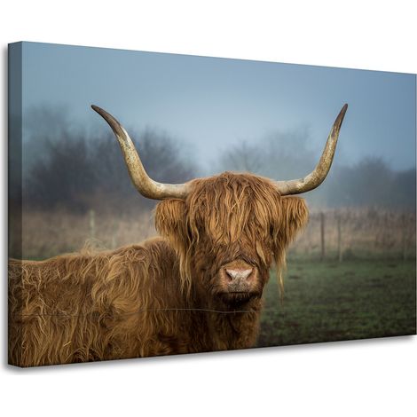Leinwanddruck Tiere Schottische Kuh 90x60 cm